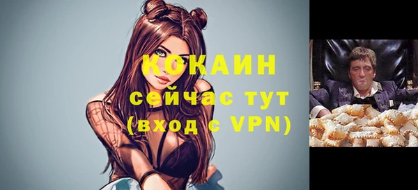 стафф Волоколамск