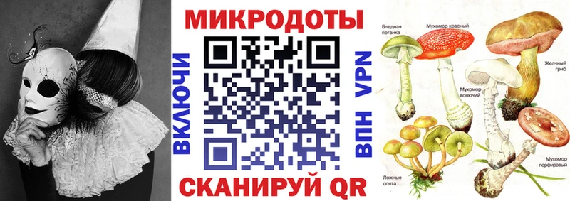 mega зеркало  где найти наркотики  Дальнереченск  Псилоцибиновые грибы GOLDEN TEACHER 